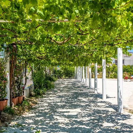 Maison d'hôtes Murieri