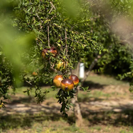 Murieri Maison d'hôtes 4*