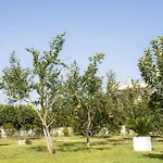 Murieri
