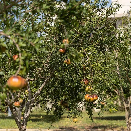 Pensionat Murieri Otranto