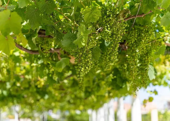 Murieri Casa de hóspedes Otranto
