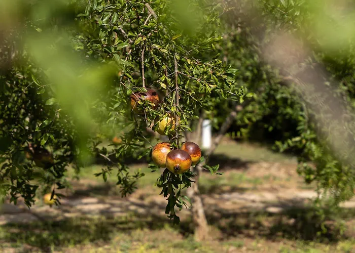 Murieri Casa de hóspedes 4*