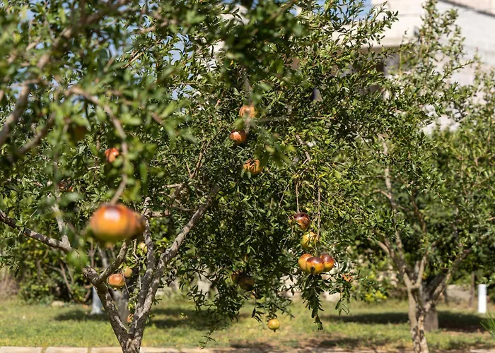 Penzion Murieri Otranto